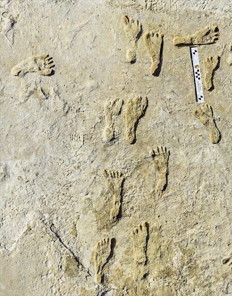 Tα παλαιότερα ανθρώπινα αποτυπώματα ανακαλύφθηκαν στη Βόρεια Αμερική.   Απολιθωμένα αποτυπώματα που ανακαλύφθηκαν στο Νέο Μεξικό δείχνουν ότι οι πρώτοι άνθρωποι περπατούσαν στη Βόρεια Αμερική πριν από περίπου 23.000 χρόνια.  Οι ερευνητές ανέφεραν ότι τα πρώτα αποτυπώματα βρέθηκαν σε ξηρή κοίτη λίμνης στο Εθνικό Πάρκο White Sands, το 2009. Οι επιστήμονες του Αμερικανικού Γεωλογικού Ινστιτούτου ανέλυσαν πρόσφατα σπόρους που είχαν κολλήσει στα ίχνη αυτά για να προσδιορίσουν την κατά προσέγγιση ηλικία τους, που