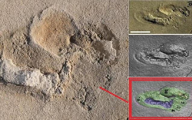 Κρήτη: Έξι εκατομμυρίων ετών τα «ανθρώπινα» ίχνη;