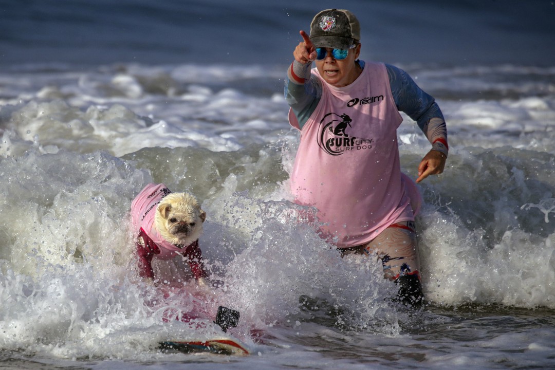 surfing