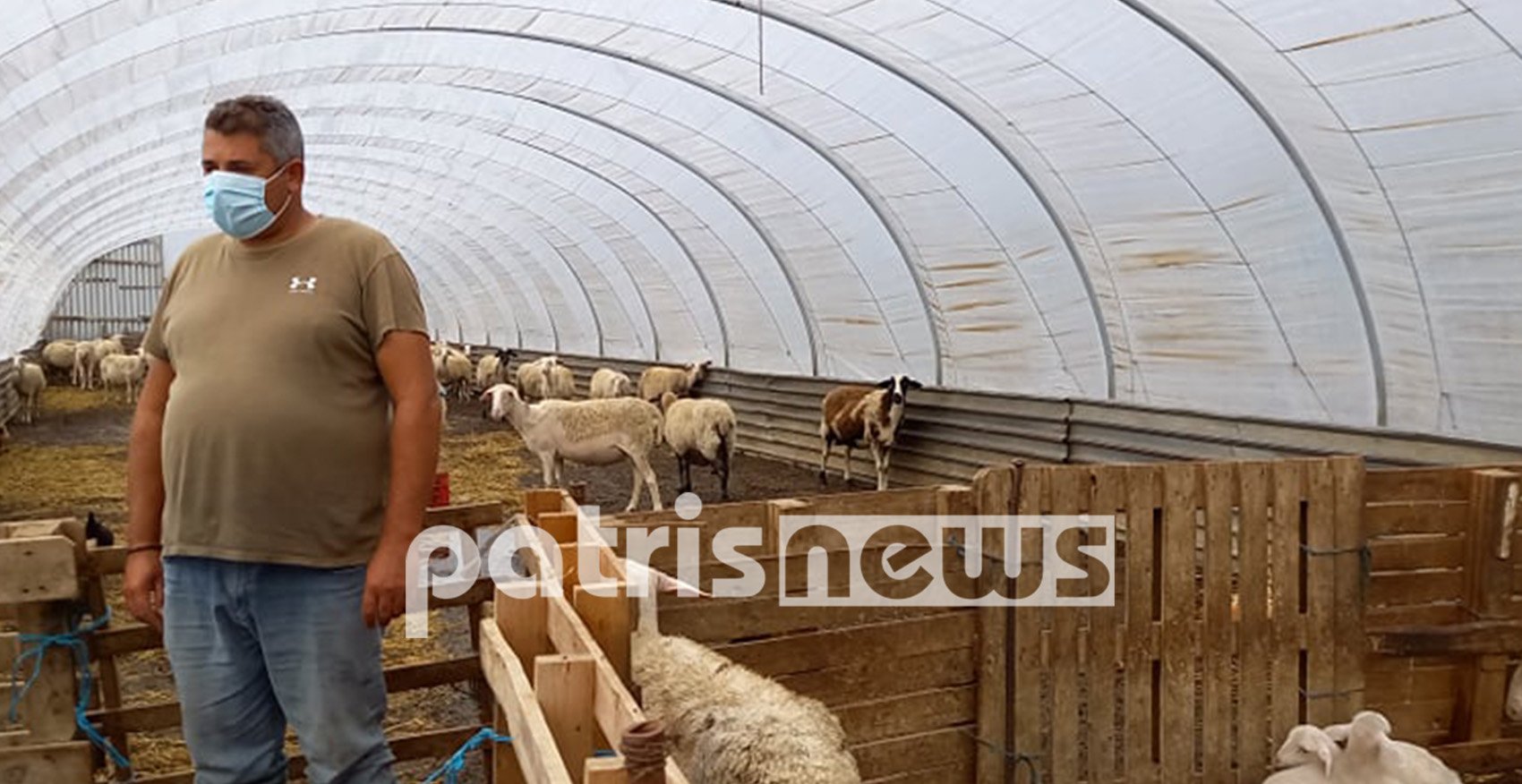 «Xτύπησε» την Ηλεία η κακοκαιρία «Αθηνά»: Ζημιές στον Κόροιβο – Πνίγηκαν ζώα 