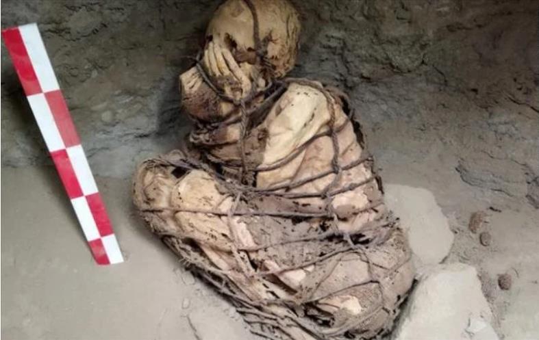 Mία μούμια που εκτιμάται ότι είναι, τουλάχιστον, 800 ετών, ανακάλυψε ομάδα αρχαιολόγων στην κεντρική ακτή του Περού.  Τα μουμιοποιημένα λείψανα ήταν ενός ατόμου από τον πολιτισμό που αναπτύχθηκε μεταξύ των ακτών και των βουνών της νοτιοαμερικανικής χώρας.   Η μούμια, το φύλο της οποίας δεν αναγνωρίστηκε, ανακαλύφθηκε στην περιοχή της Λίμα, όπως δήλωσε ο αρχαιολόγος Pieter Van Dalen Luna.  «Το κύριο χαρακτηριστικό της μούμιας είναι ότι ολόκληρο το σώμα της ήταν δεμένο με σχοινιά και τα χέρια της κάλυπταν το 