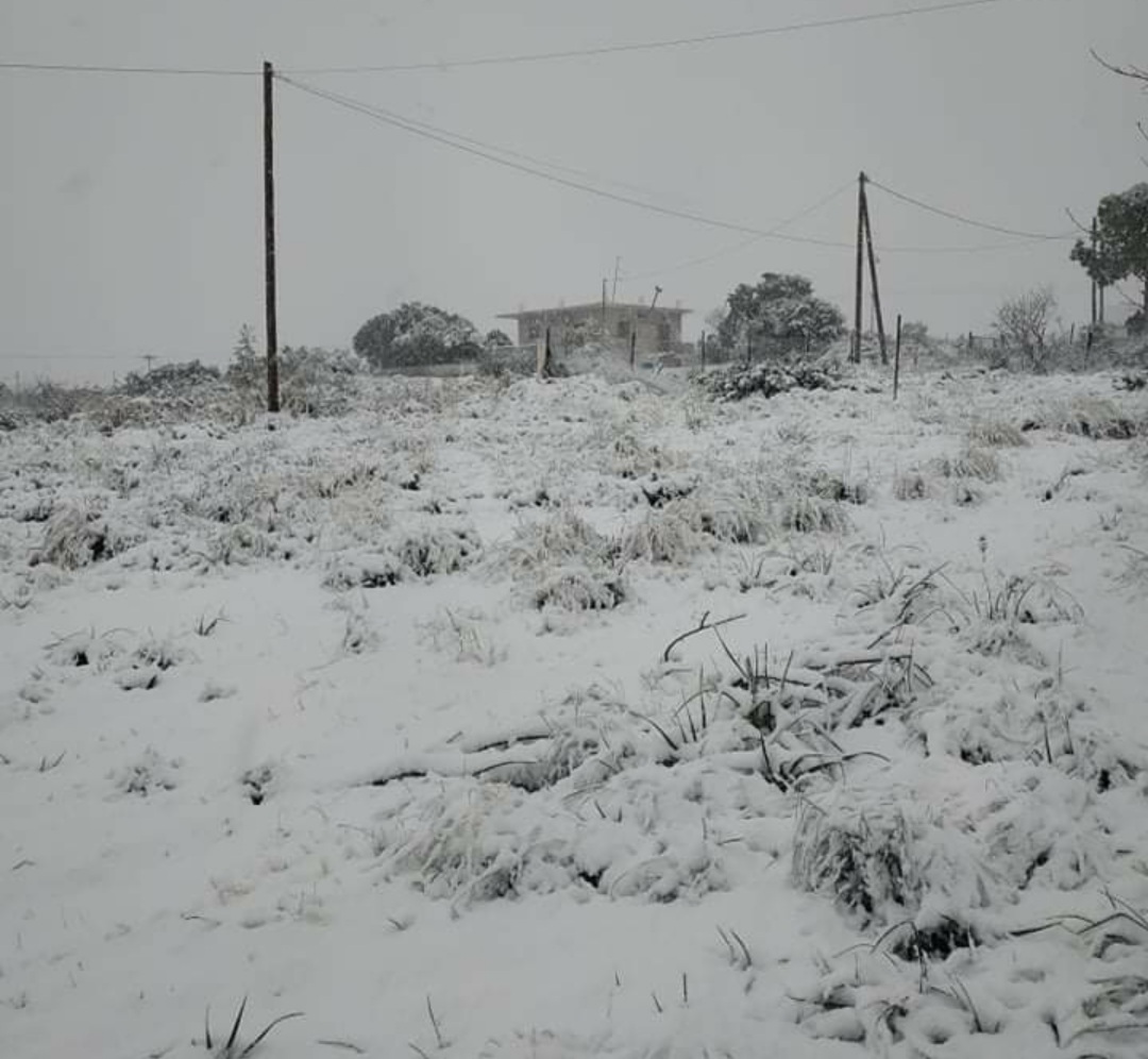 Κακοκαιρία «Ελπίδα»: Σφοδρή χιονόπτωση σε Χαλκίδα και Κύμη 