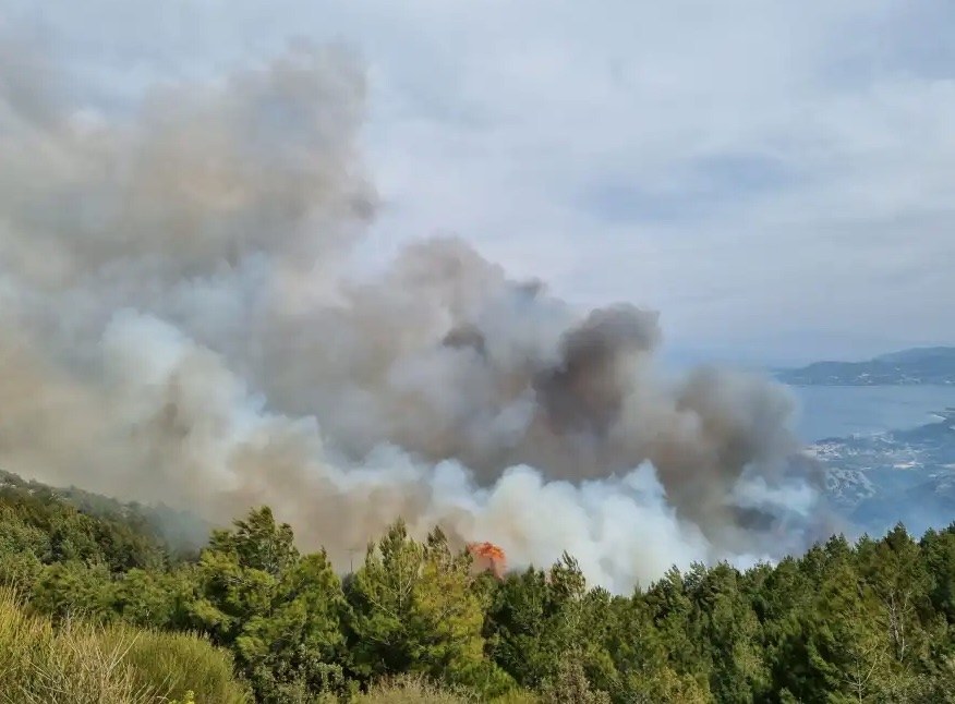 Μεγάλη πυρκαγιά στη Σάμο - Εκκενώνεται οικισμός