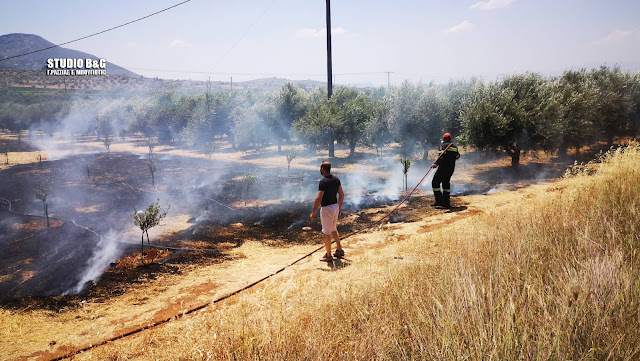 Φωτιά στην Αργολίδα: Στις φλόγες γεωργική έκταση στην περιοχή Φίχτι