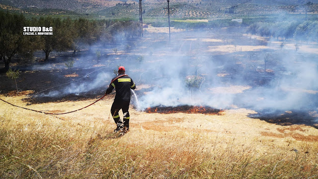 Φωτιά στην Αργολίδα: Στις φλόγες γεωργική έκταση στην περιοχή Φίχτι