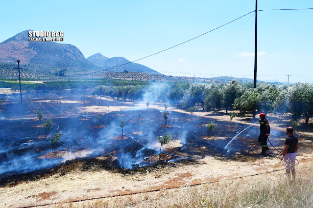 Φωτιά στην Αργολίδα: Στις φλόγες γεωργική έκταση στην περιοχή Φίχτι