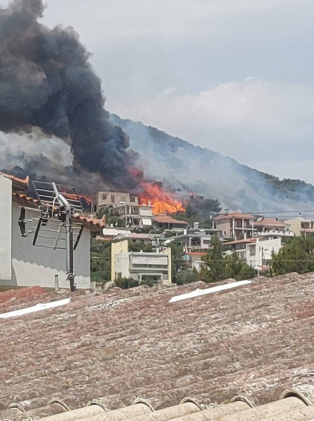 Φωτιά κοντά σε σπίτια στη Λούτσα