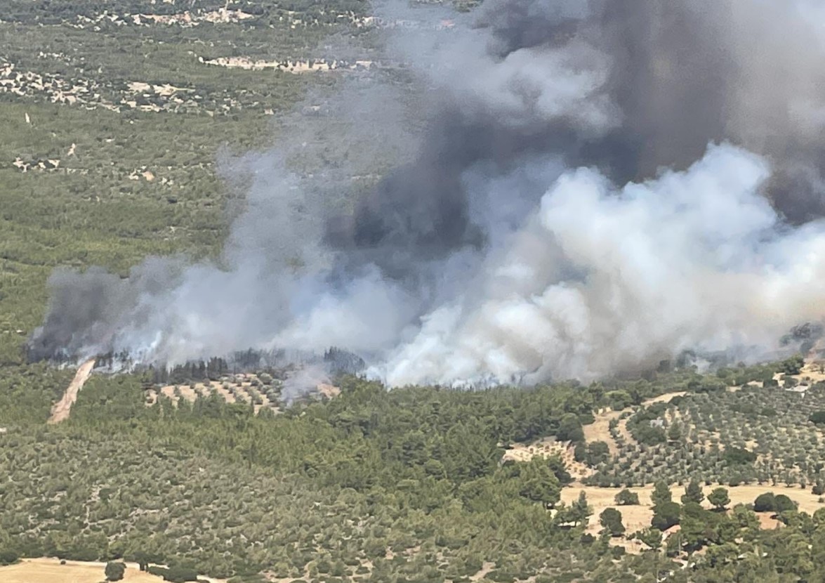 Φωτιά στα Μέγαρα