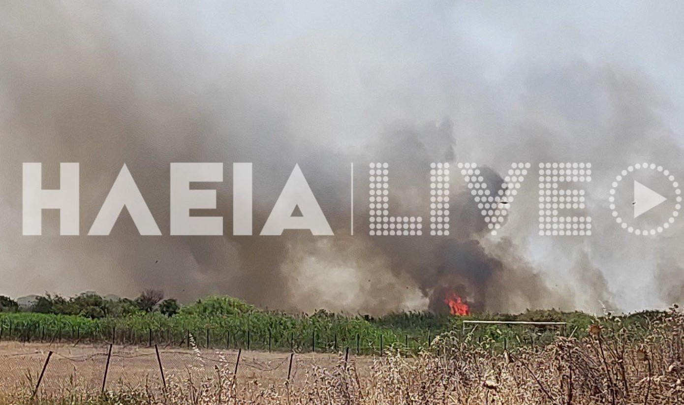 Ηλεία: Νέα μεγάλη φωτιά στην Σπιάντζα