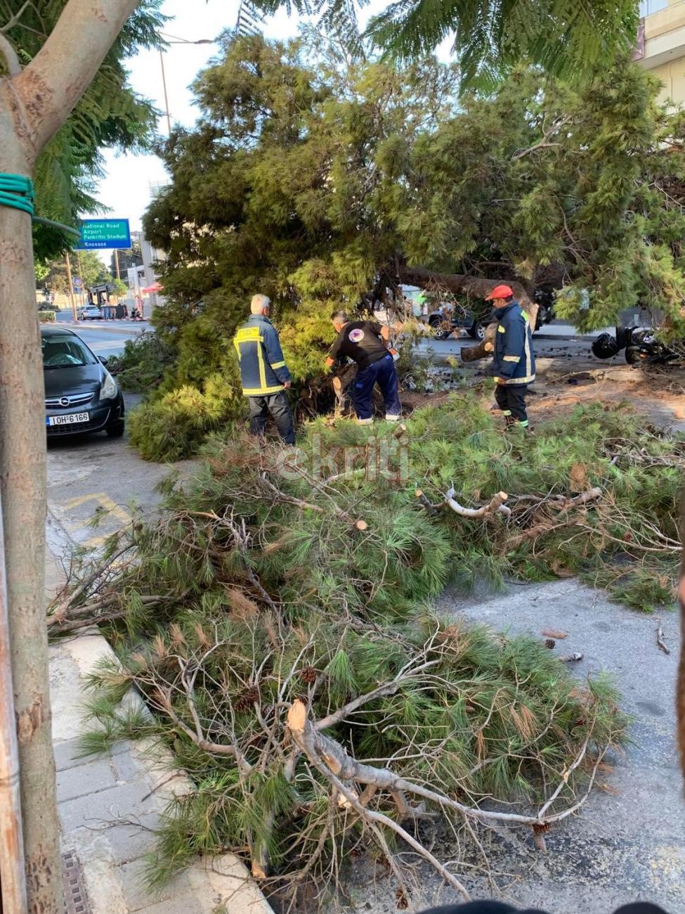 Tραγωδία στο Ηράκλειο Κρήτης: Νεκρός 50χρονος μοτοσικλετιστής που καταπλακώθηκε από δέντρο