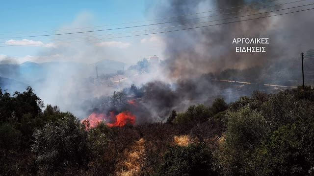 Μεγάλη φωτιά στην Αργολίδα: Κοντά σε κατοικημένες περιοχές - Εκκενώθηκε ξενοδοχείο