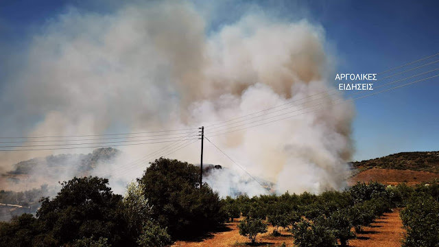Μεγάλη φωτιά στην Αργολίδα: Κοντά σε κατοικημένες περιοχές - Εκκενώθηκε ξενοδοχείο