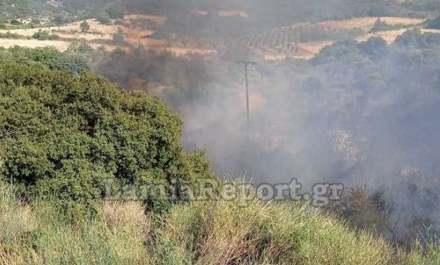 Φθιώτιδα: Φωτιά κοντά στον οικισμό Λογγίτσι Στυλίδας