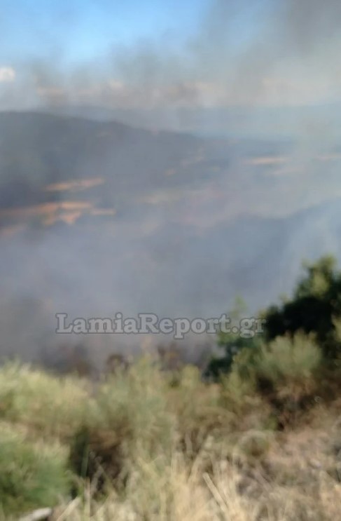 Φθιώτιδα: Φωτιά κοντά στον οικισμό Λογγίτσι Στυλίδας