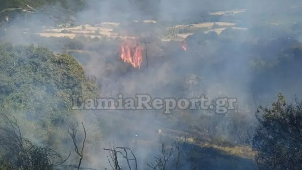 Φθιώτιδα: Οριοθετήθηκε η φωτιά κοντά στον οικισμό Λογγίτσι Στυλίδας