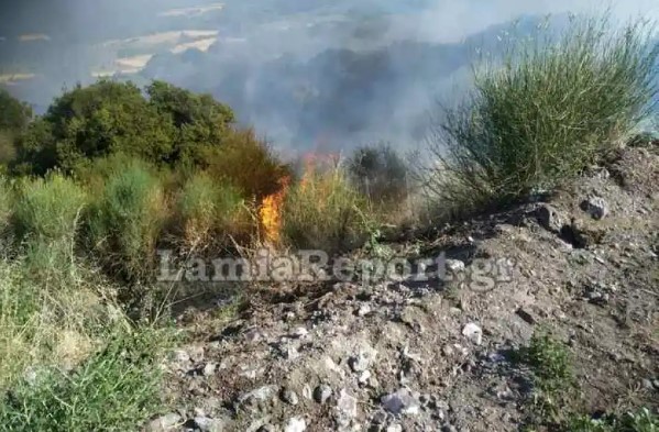 Φθιώτιδα: Οριοθετήθηκε η φωτιά κοντά στον οικισμό Λογγίτσι Στυλίδας