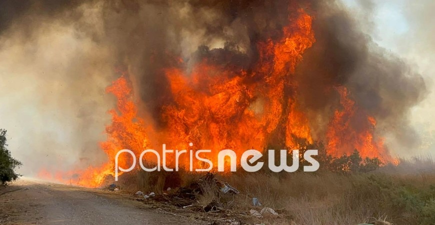Πυρκαγιά στην Ηλεία: Κοντά στα σπίτια οι φλόγες