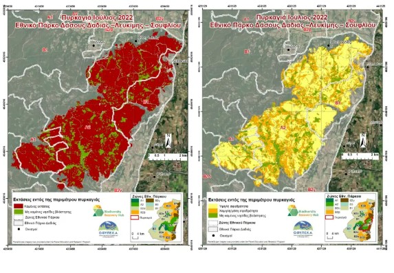 Φωτιά στη Δαδιά: Μικρότερη από ό,τι είχε αρχικά εκτιμηθεί η περιβαλλοντική ζημιά