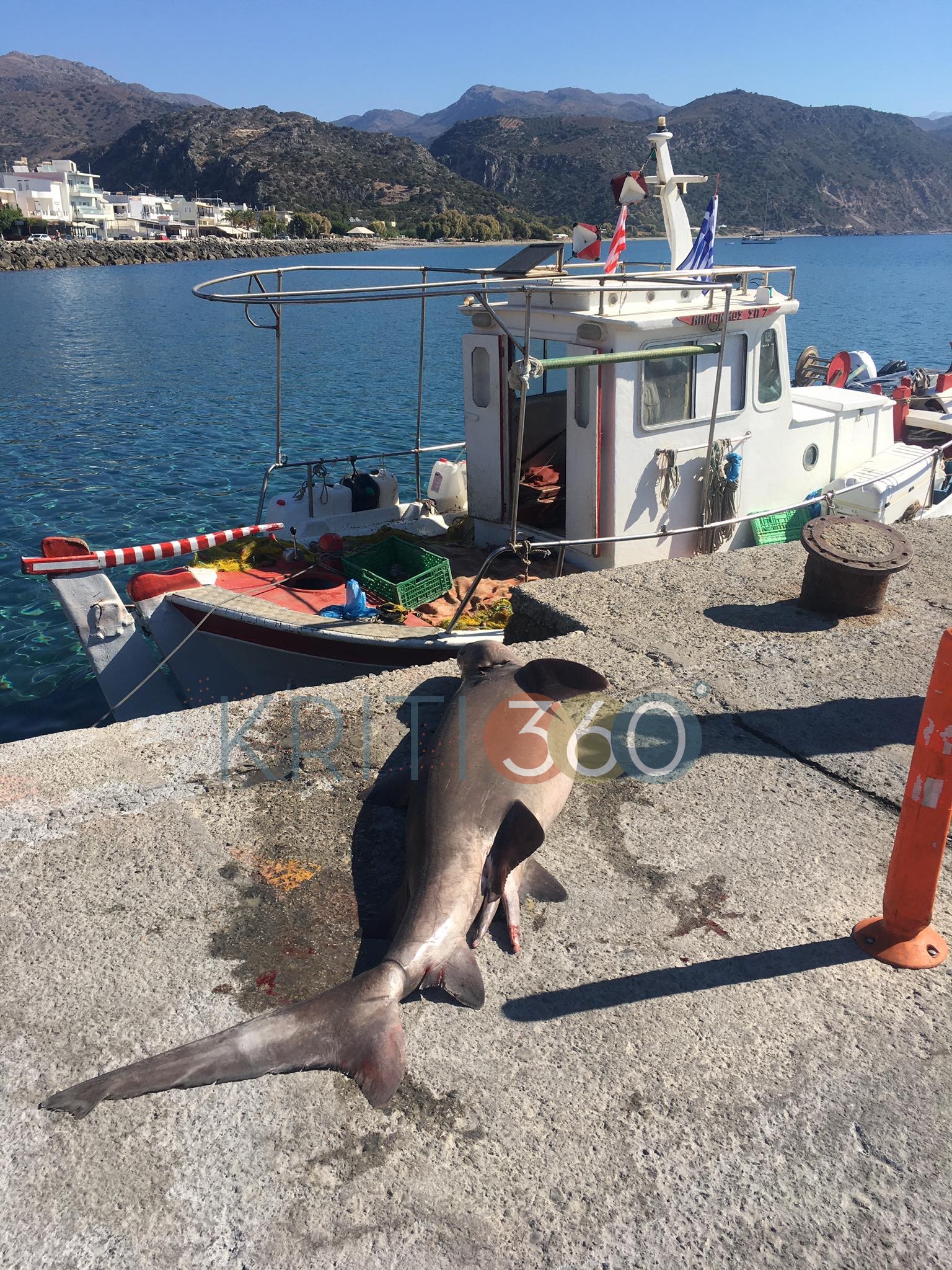 Χανιά: Έπιασαν καρχαρία δύο μέτρων