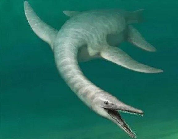 Ανακαλύφθηκε πανάρχαιος «κροκοδειλόσαυρος»