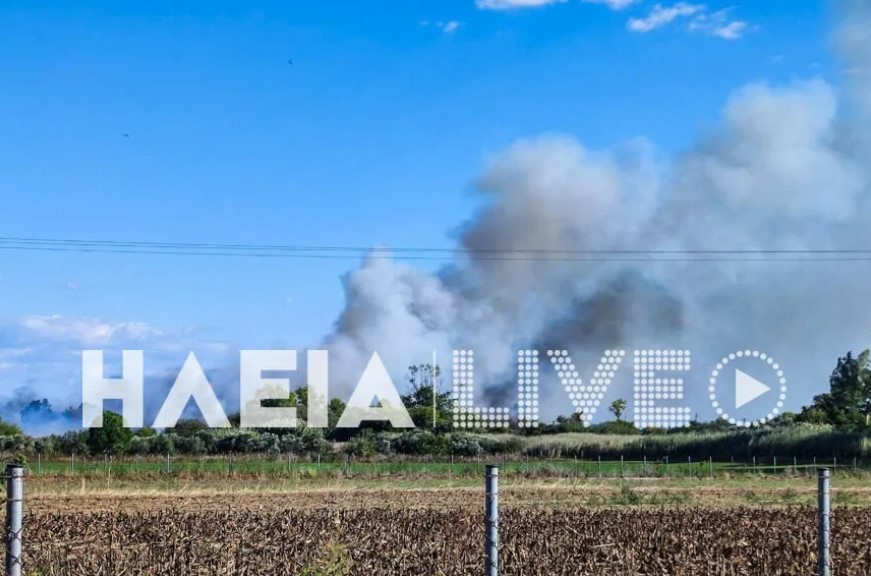 Ηλεία: Φωτιά στο Καβούρι - Κοντά σε σπίτια οι φλόγες