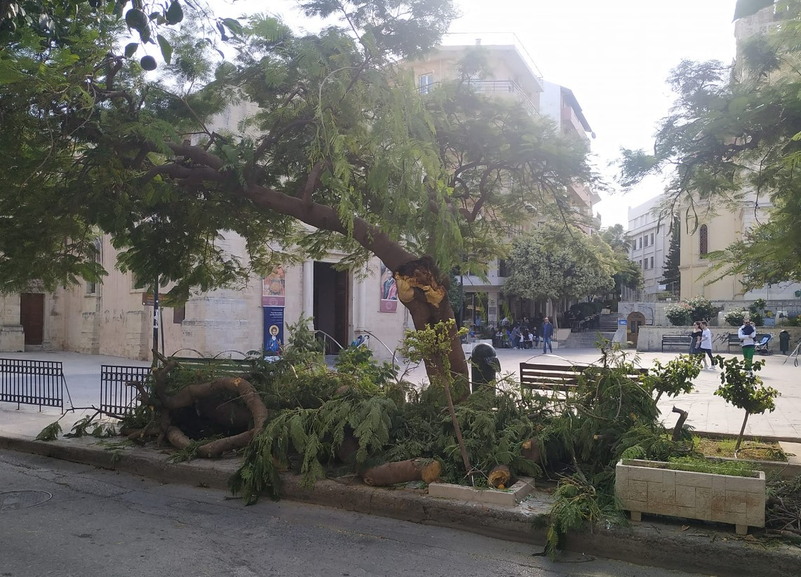 Κρήτη: Νέα πτώση δέντρου στο κέντρο του Ηρακλείου