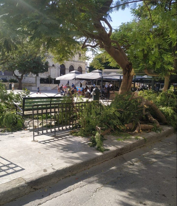 Κρήτη: Νέα πτώση δέντρου στο κέντρο του Ηρακλείου