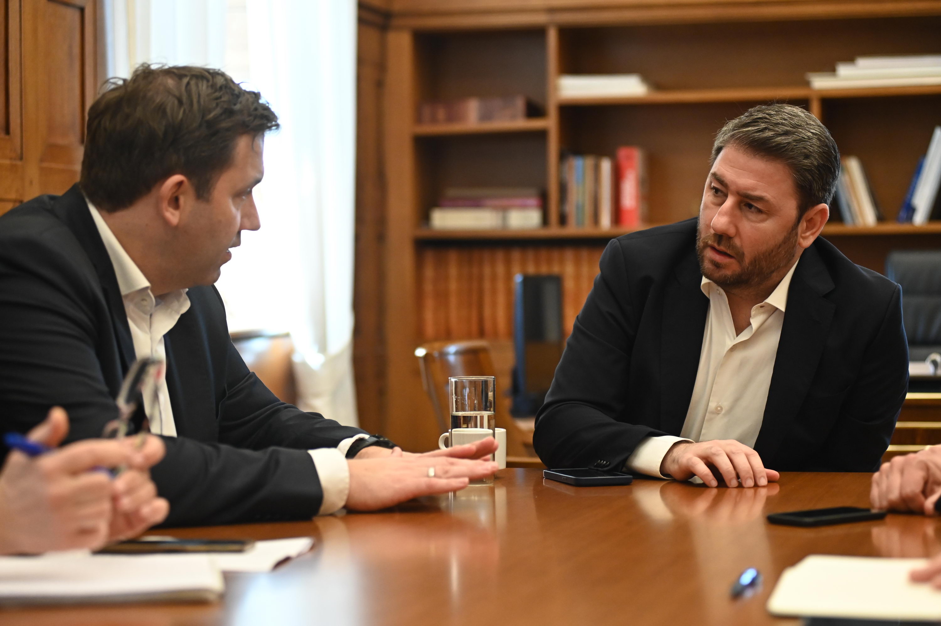Συνάντηση Ανδρουλάκη με τον πρόεδρο του SPD