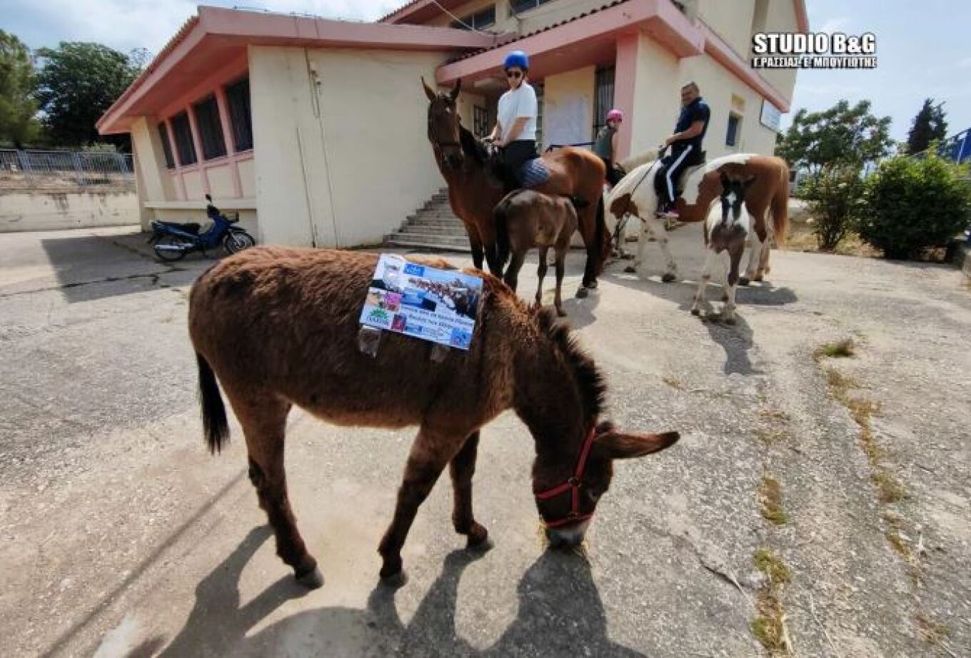 Ναύπλιο: Αγρότης πήγε στο εκλογικό κέντρο με… άλογο και …γαϊδούρι
