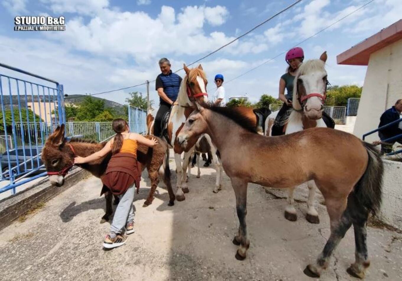 Ναύπλιο: Αγρότης πήγε στο εκλογικό κέντρο με… άλογο και …γαϊδούρι