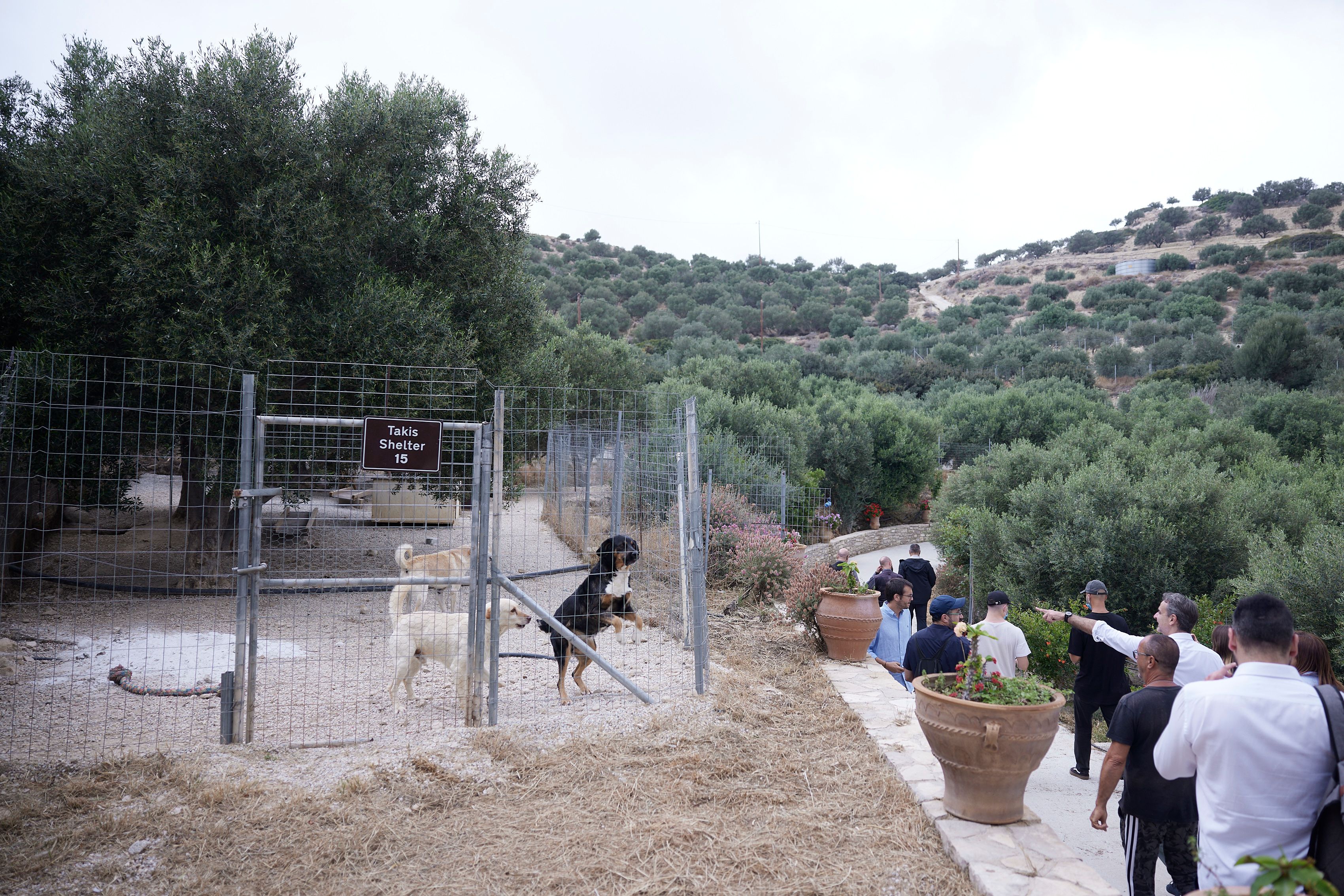 Επίσκεψη Μητσοτάκη στο καταφύγιο ζώων «Takis Shelter» στην Ιεράπετρα