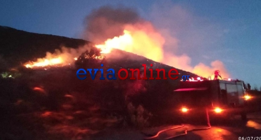 Φωτιά στο Αλιβέρι Εύβοιας - Δίπλα από εργοστάσιο της ΔΕΗ οι φλόγες