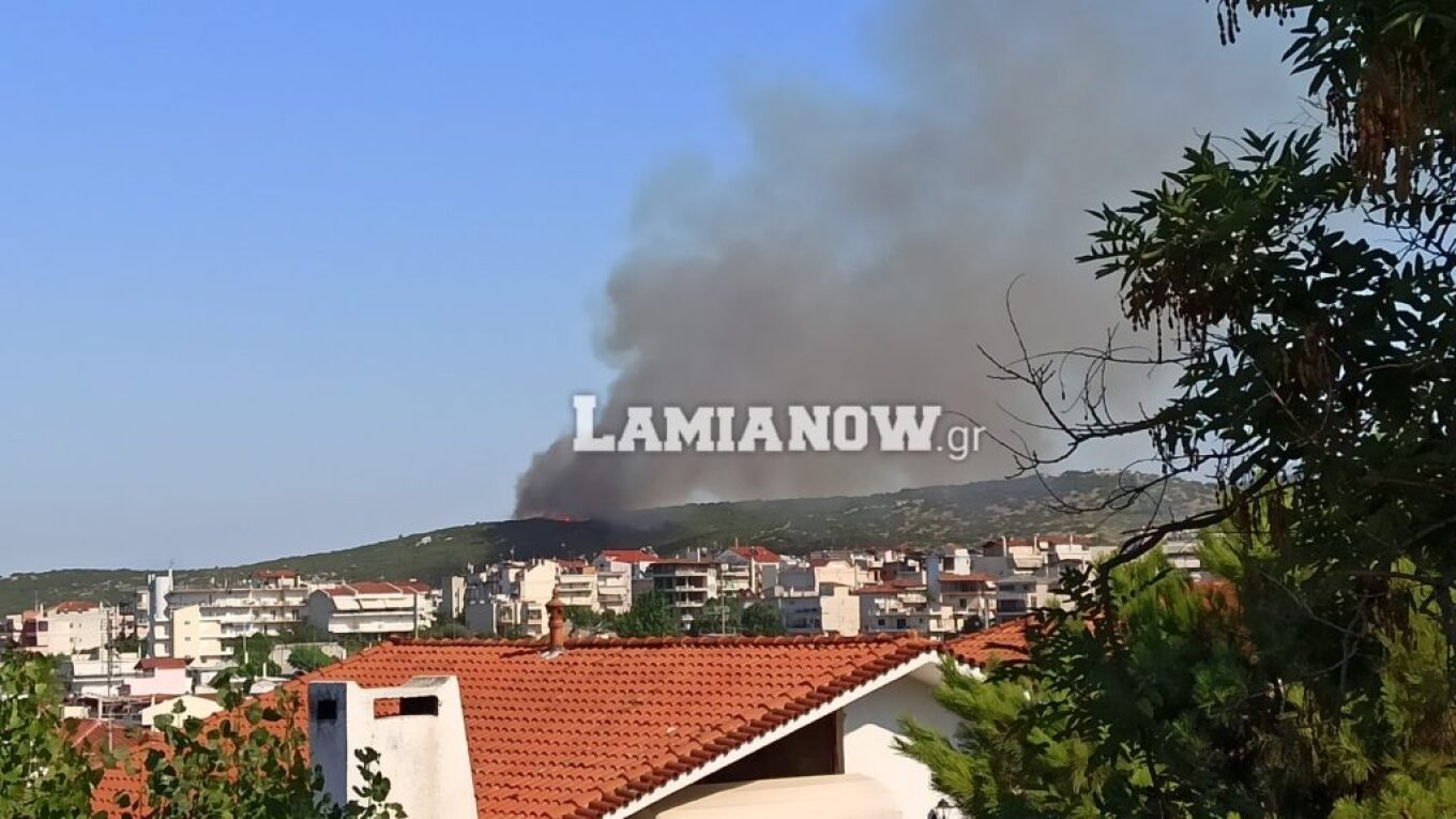 Αναζωπύρωση της φωτιάς στη Λαμία: Εκκένωση της περιοχής Αμφιθέας