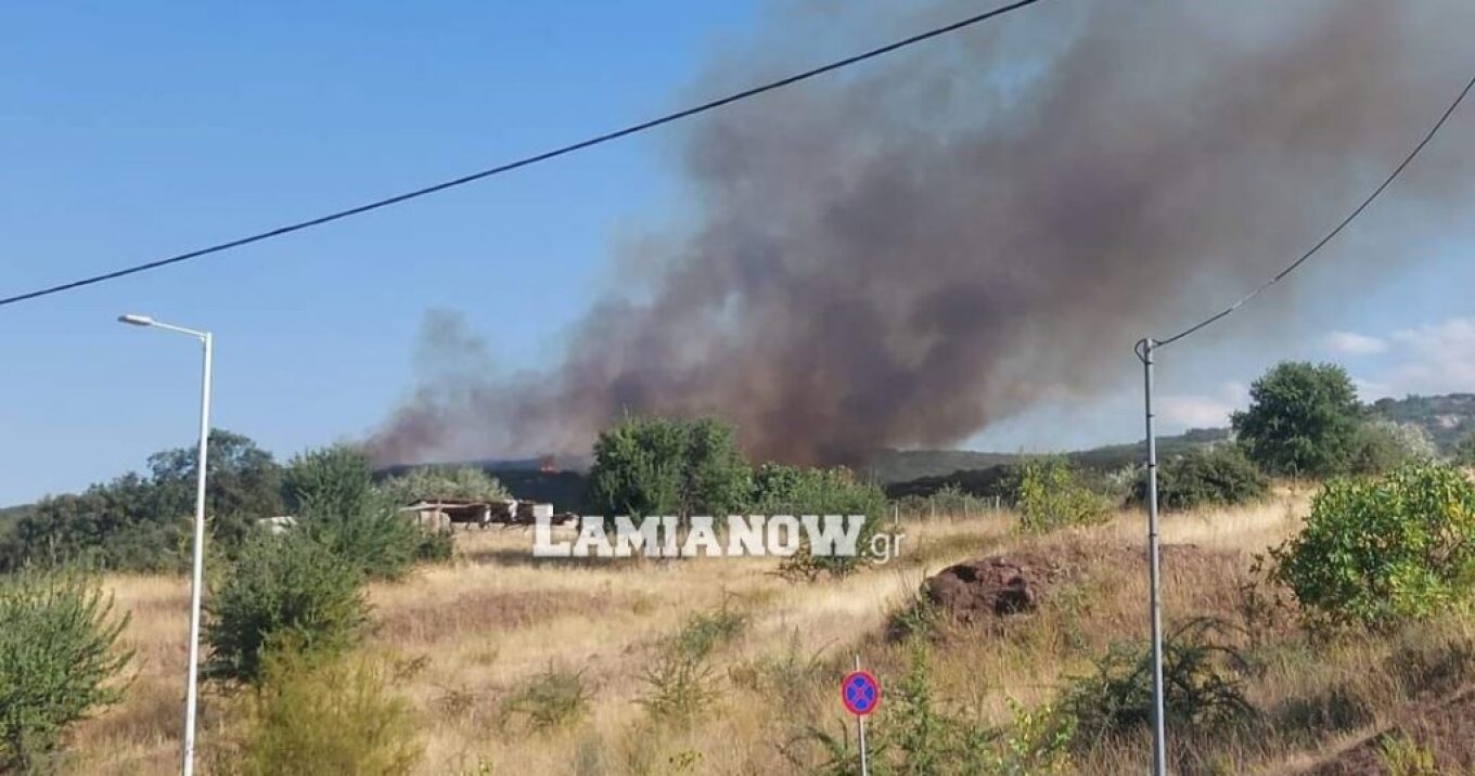 Αναζωπύρωση της φωτιάς στη Λαμία: Εκκένωση της περιοχής Αμφιθέας