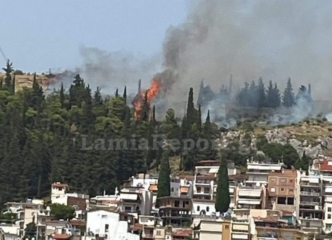 Φωτιά στη Λαμία: Κάηκαν σπίτια - Εκκενώνεται το βόρειο τμήμα