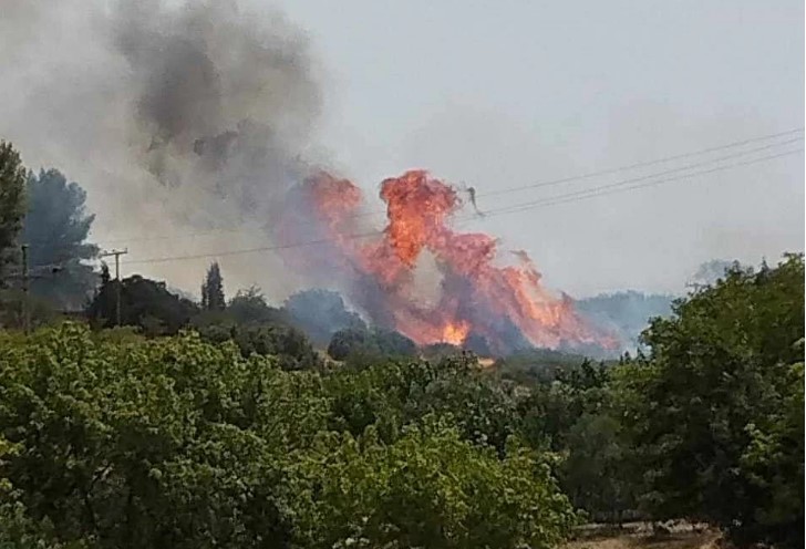 Φωτιά στο Βελεστίνο: Καίγονται σπίτια στον Άγιο Γεώργιο Φερών