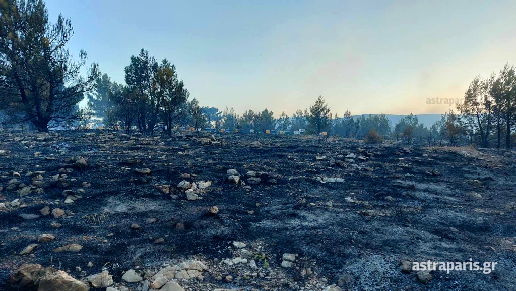 Χίος: Βελτιωμένη η εικόνα της πυρκαγιάς