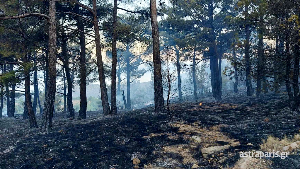Χίος: Βελτιωμένη η εικόνα της πυρκαγιάς