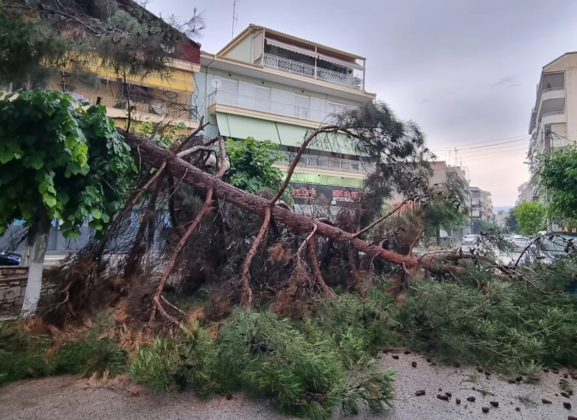 Πτολεμαΐδα: Δέντρο έπεσε σε πάρκο που έπαιζαν παιδιά