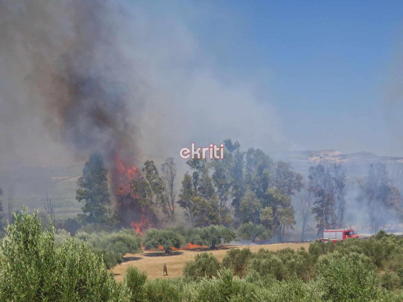 Κρήτη: Φωτιά στα Κάτω Καλύβια Ηρακλείου