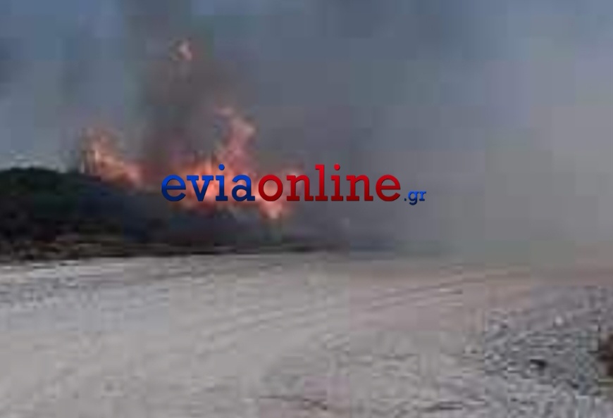Εύβοια: Νέα φωτιά στην Κάρυστο