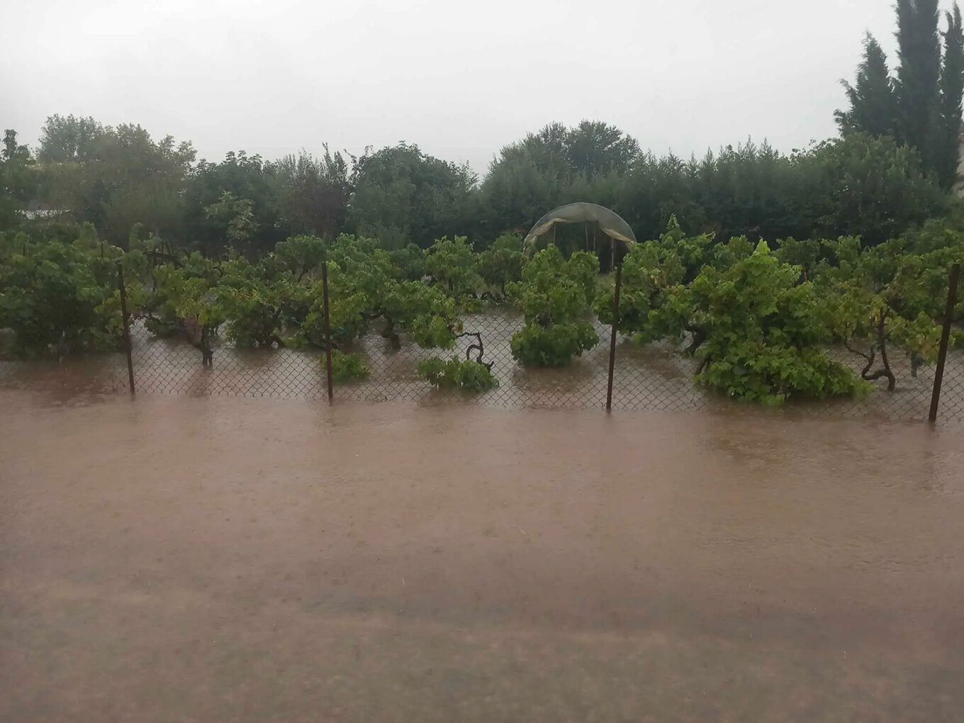 Τρίκαλα: Πλημμύρες σε όλο τον νομό