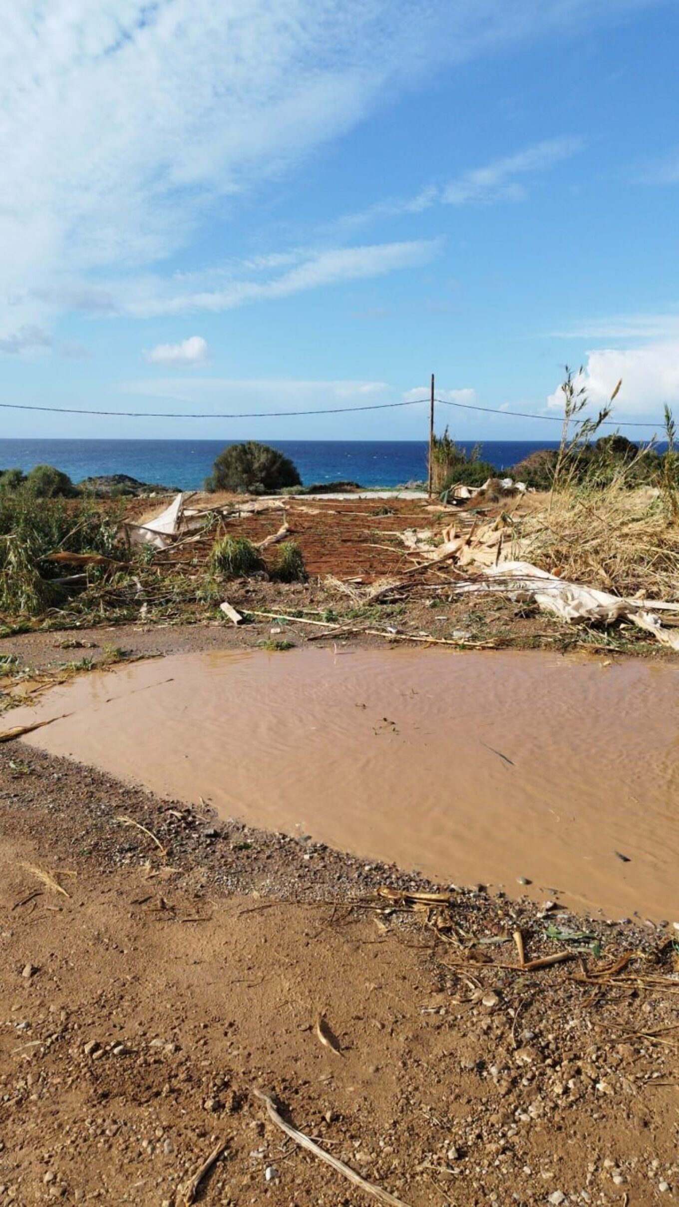 Κρήτη: Ζημιές σε θερμοκήπια και ελιές προκάλεσαν οι ισχυροί άνεμοι στα Φαλάσαρνα
