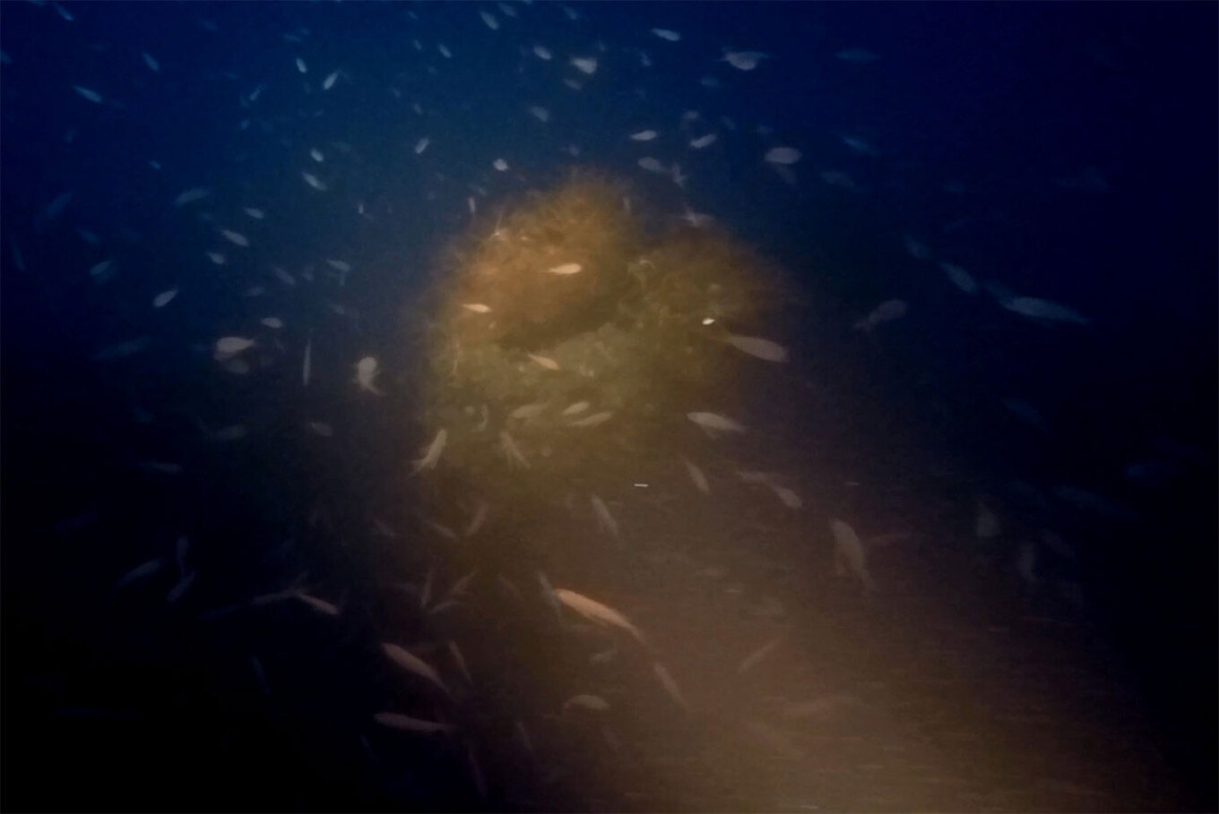 Γαλλικό υποβρύχιο από τον Α' Παγκόσμιο Πόλεμο εντοπίστηκε στον Θερμαϊκό
