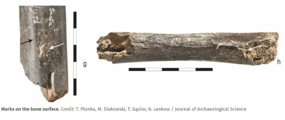 Οστό 130.000 ετών αποκαλύπτει πώς σκέφτονταν οι Νεάντερταλ