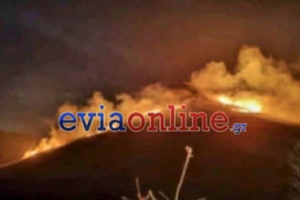 Εύβοια: Φωτιά σε δασική έκταση στην Κάρυστο