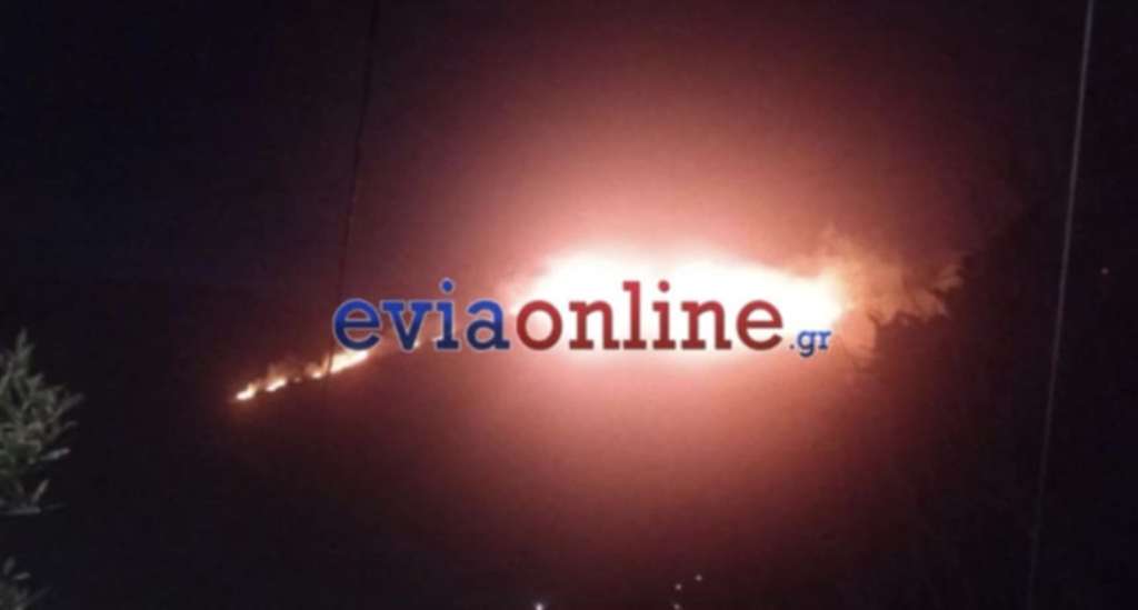 Εύβοια: Φωτιά σε δασική έκταση στην Κάρυστο