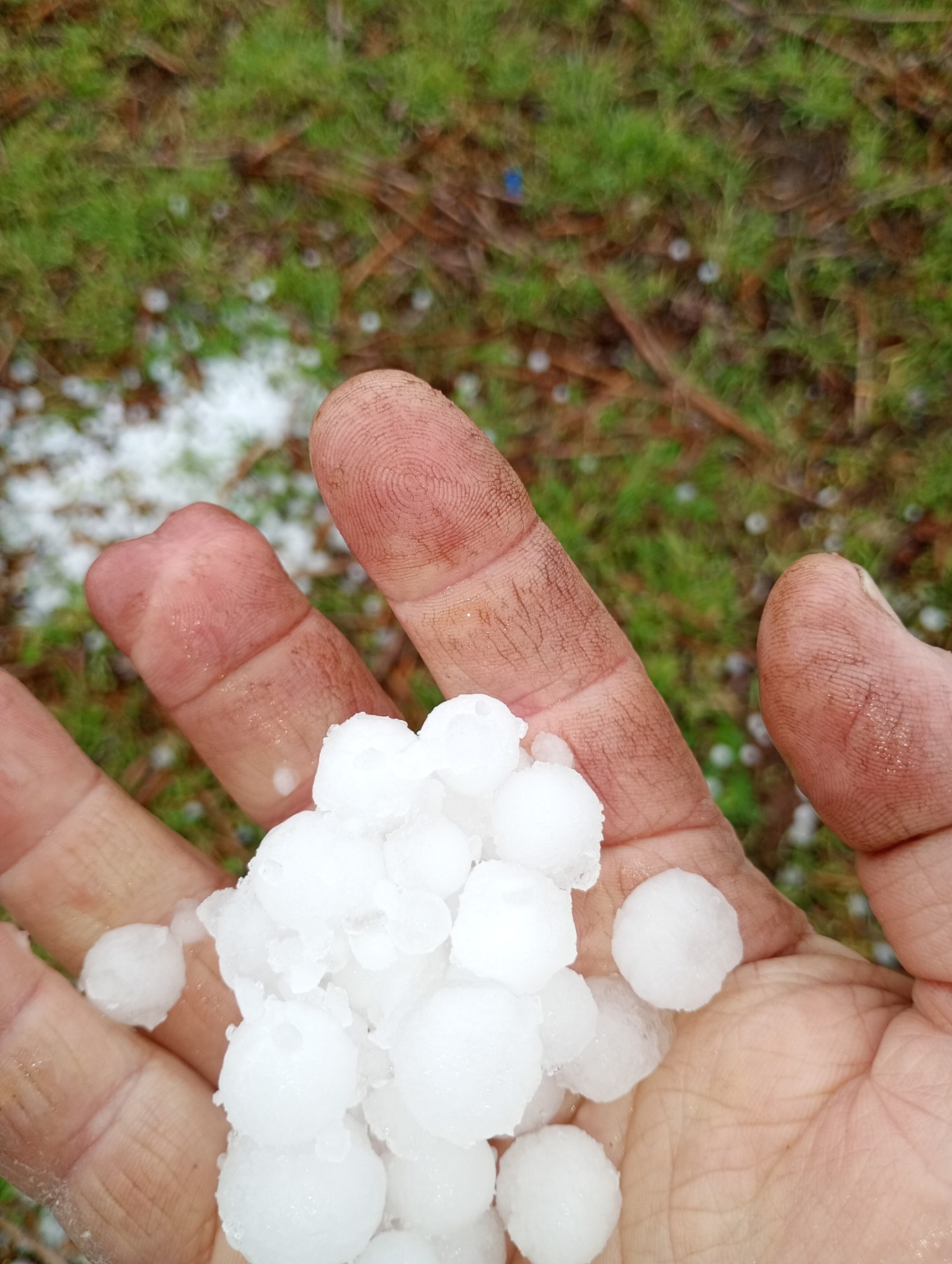 Έντονη χαλαζόπτωση στην Κορινθία