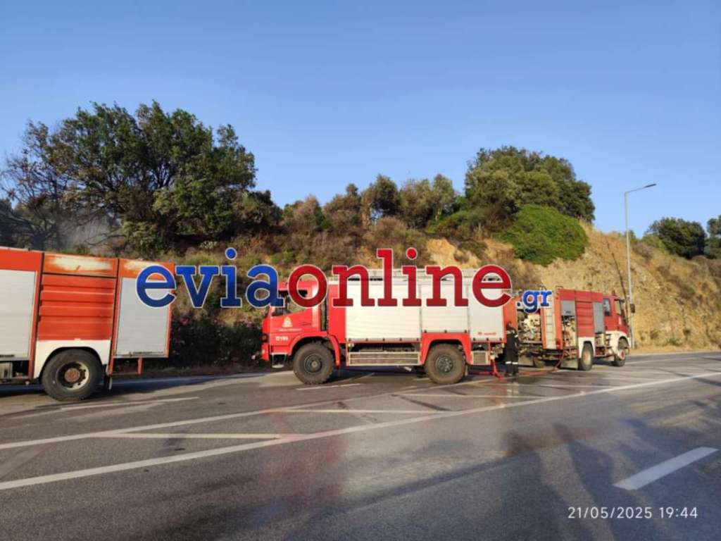 Εύβοια: Οριοθετήθηκε η φωτιά στον Αλμυροπόταμο