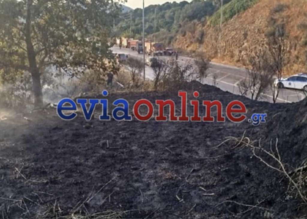 Εύβοια: Οριοθετήθηκε η φωτιά στον Αλμυροπόταμο